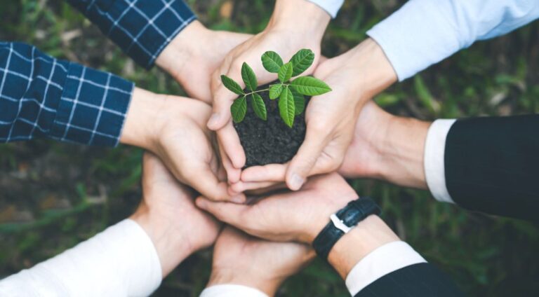 Entenda o impacto ambiental