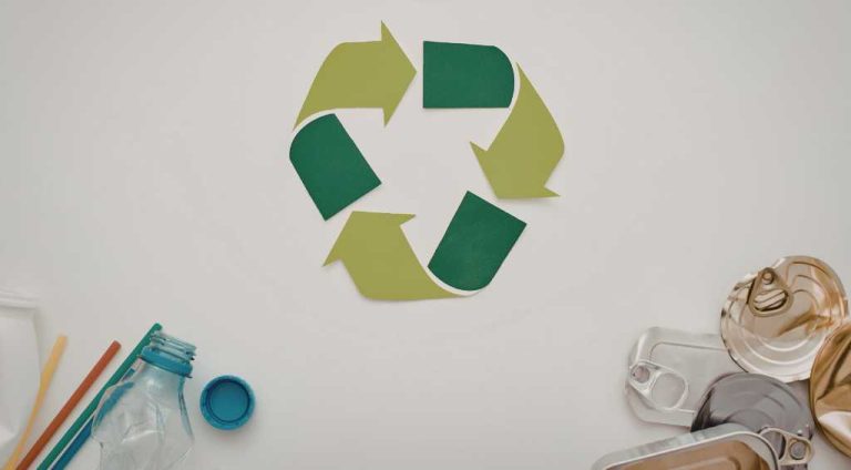 Como aplicar sustentabilidade no dia a dia sem grandes mudanças